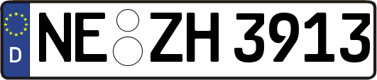 NE-ZH3913
