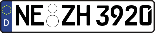 NE-ZH3920