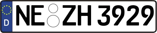 NE-ZH3929