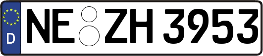 NE-ZH3953