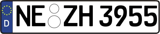 NE-ZH3955