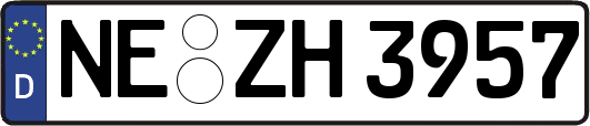NE-ZH3957
