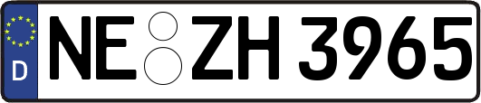 NE-ZH3965
