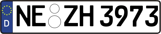 NE-ZH3973