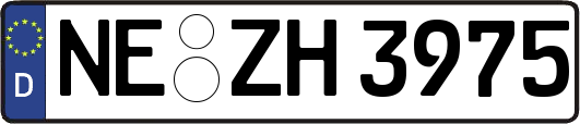 NE-ZH3975