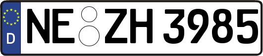 NE-ZH3985