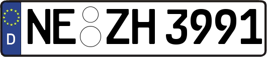 NE-ZH3991
