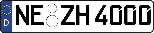 NE-ZH4000
