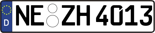 NE-ZH4013