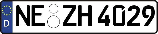 NE-ZH4029