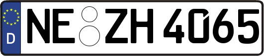 NE-ZH4065