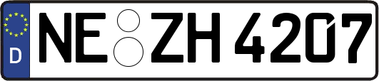 NE-ZH4207
