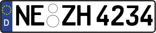 NE-ZH4234