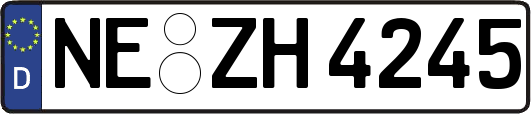 NE-ZH4245