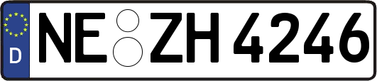 NE-ZH4246