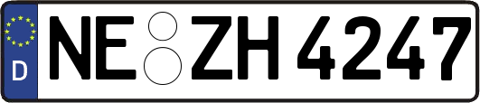 NE-ZH4247