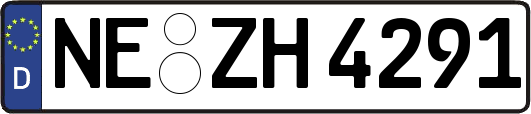 NE-ZH4291
