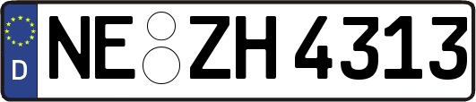 NE-ZH4313