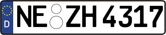 NE-ZH4317