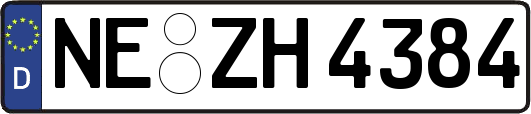 NE-ZH4384