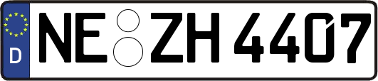 NE-ZH4407