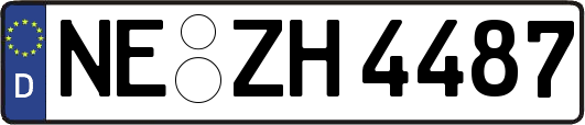 NE-ZH4487