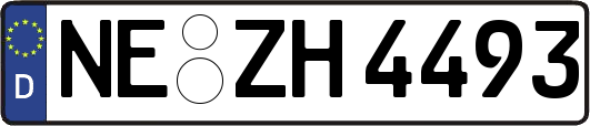 NE-ZH4493