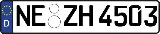 NE-ZH4503