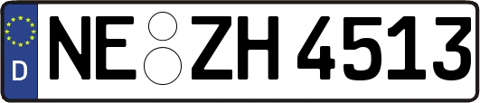 NE-ZH4513