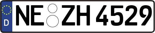 NE-ZH4529