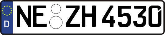 NE-ZH4530
