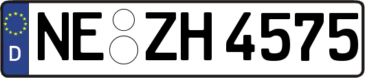 NE-ZH4575