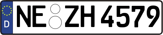 NE-ZH4579