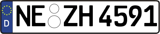 NE-ZH4591