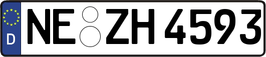 NE-ZH4593