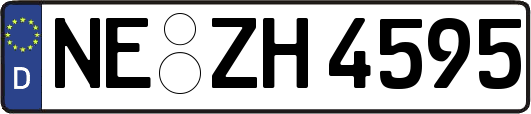 NE-ZH4595