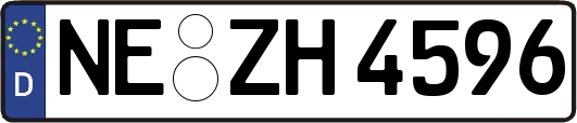 NE-ZH4596