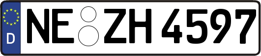 NE-ZH4597