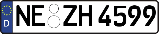 NE-ZH4599