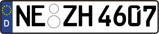 NE-ZH4607