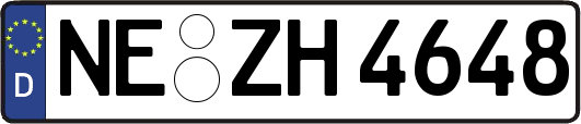 NE-ZH4648