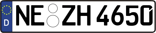 NE-ZH4650