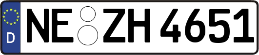 NE-ZH4651
