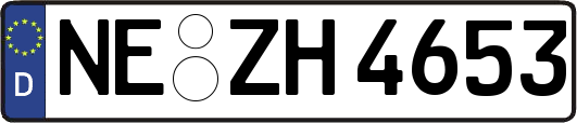 NE-ZH4653