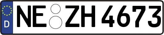 NE-ZH4673