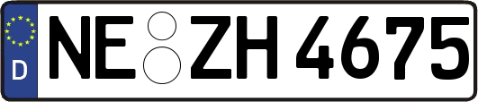 NE-ZH4675