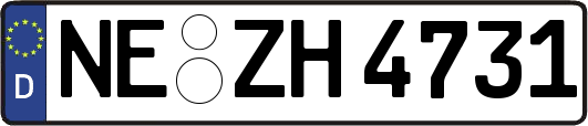 NE-ZH4731