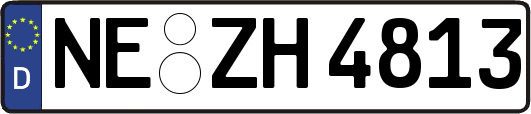 NE-ZH4813