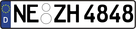 NE-ZH4848