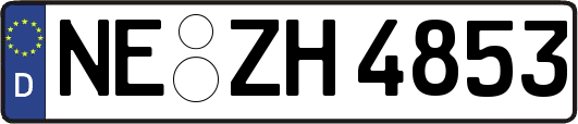NE-ZH4853